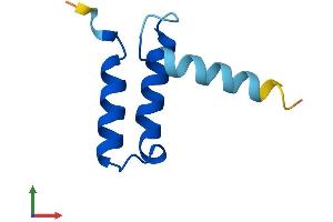 AlphaFold protein structure predicition of Human Recombinant CMC4 Protein, UniprotID P56277 (CMC4 Protein (AA 1-68) (Fc Tag))
