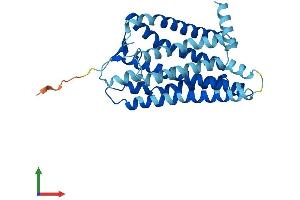AlphaFold protein structure predicition of Human Recombinant OR56A4 Protein, UniprotID Q8NGH8 (OR56A4 Protein (AA 1-313) (His tag))