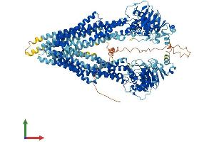 Protein Structure (PS) image for ATP-Binding Cassette, Sub-Family B (MDR/TAP), Member 1 (ABCB1) (AA 1-1280) protein (His tag) (ABIN7554517)