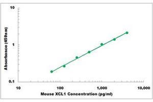 Representative Standard Curve (XCL1 ELISA Kit)