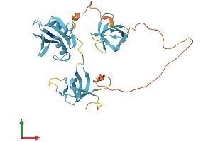 Protein Structure (PS) image for V-Crk Sarcoma Virus CT10 Oncogene Homolog (Avian)-Like (CRKL) (AA 1-303) protein (His tag) (ABIN7546838)