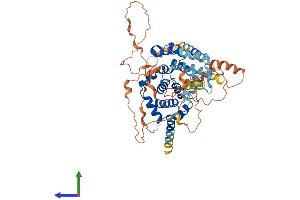 Protein Structure (PS) image for TBC1 Domain Family, Member 3C (TBC1D3C) (AA 1-549) protein (His tag) (ABIN7544193)