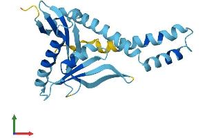 Protein Structure (PS) image for N-Acetyltransferase 14 (GCN5-Related, Putative) (NAT14) (AA 1-206) protein (His tag) (ABIN7558927)