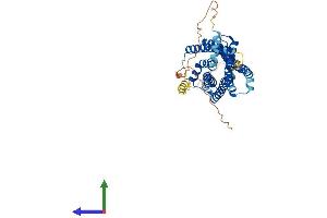 AlphaFold protein structure predicition of Mouse Recombinant Gpr182 Protein, UniprotID P43142