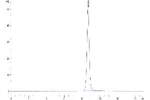 The purity of Mouse EPHA5 is greater than 95 % as determined by SEC-HPLC. (EPH Receptor A5 Protein (EPHA5) (AA 27-412) (His tag))