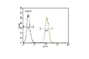 Flow Cytometry (FACS) image for anti-Plasminogen Activator, Urokinase (PLAU) (AA 60-90), (N-Term) antibody (ABIN1882148)