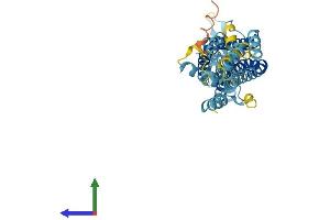 AlphaFold protein structure predicition of Mouse Recombinant Panx3 Protein, UniprotID Q8CEG0