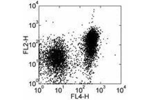 Image no. 1 for anti-Signaling Lymphocytic Activation Molecule Family Member 1 (SLAMF1) antibody (Biotin) (ABIN475810) (SLAMF1 antibody  (Biotin))