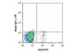 Flow Cytometry (FACS) image for anti-Chemokine (C-X-C Motif) Receptor 5 (CXCR5) antibody (PE) (ABIN2662490) (CXCR5 antibody  (PE))