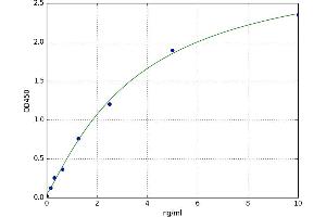 A typical standard curve