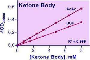 Biochemical Assay (BCA) image for Ketone Body Assay Kit (ABIN1000317)
