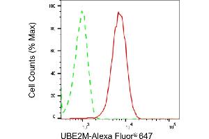 Flow cytometric analysis of UBE2M expression in HepG2 cells using UBE2M antibody (ABIN7800750), 1:2,000). (Recombinant UBE2M antibody)