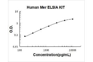 Human Mer PicoKine ELISA Kit standard curve
