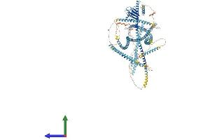 AlphaFold protein structure predicition of Human Recombinant FHAD1 Protein, UniprotID B1AJZ9 (FHAD1 Protein (AA 1-1412) (His tag))