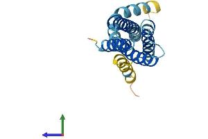 AlphaFold protein structure predicition of Mouse Recombinant Ssr3 Protein, UniprotID Q9DCF9