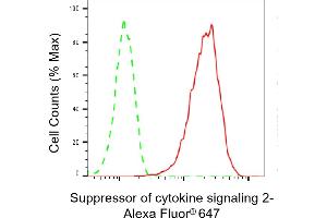 Flow cytometric analysis of Suppressor of cytokine signaling 2 expression in HAP-1 cells using Suppressor of cytokine signaling 2 antibody (ABIN7800465), 1:2,000). (Recombinant SOCS2 antibody)