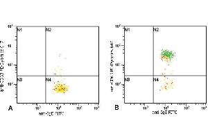 Flow cytometry analysis of basophil activation upon stimulation of normal (heparin-treated) whole blood with combination of IL-3 and Goat anti-IgE polyclonal antibody. (Mouse anti-Human IgE Antibody (FITC))