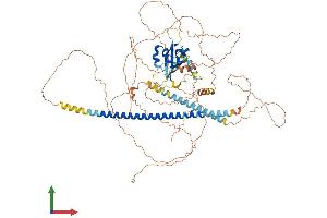 Protein Structure (PS) image for PAS Domain Containing 1 (PASD1) (AA 1-773) protein (His tag) (ABIN7554869)
