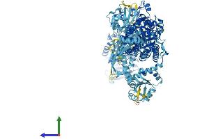 AlphaFold protein structure predicition of Mouse Recombinant Iars1 Protein, UniprotID Q8BU30 (IARS Protein (AA 1-1262) (His tag))