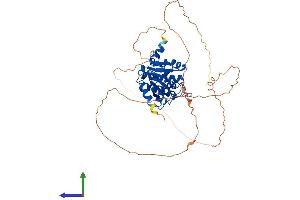 AlphaFold protein structure predicition of Mouse Recombinant Macrod2 Protein, UniprotID Q3UYG8 (MACROD2 Protein (AA 1-475) (His tag))