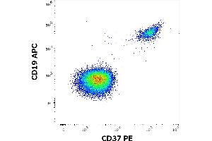 Flow cytometry multicolor surface staining of human gated lymphocytes stained using anti-human CD37 (MB-1) PE antibody (10 μL reagent / 100 μL of peripheral whole blood) and anti-human CD19 (LT19) APC antibody (10 μL reagent / 100 μL of peripheral whole blood). (CD37 antibody  (PE))