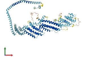 AlphaFold protein structure predicition of Human Recombinant COG7 Protein, UniprotID P83436 (COG7 Protein (AA 1-770) (His tag))