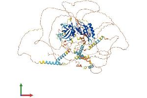 AlphaFold protein structure predicition of Mouse Recombinant Per3 Protein, UniprotID O70361