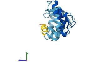 AlphaFold protein structure predicition of Mouse Recombinant Cib3 Protein, UniprotID Q0P523 (CIB3 Protein (AA 1-160) (His tag))