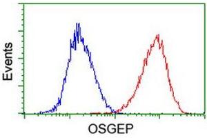 Flow cytometric Analysis of Hela cells, using anti-OSGEP antibody (ABIN2454648), (Red), compared to a nonspecific negative control antibody, (Blue).