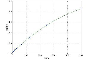 Interleukin 2 Receptor, beta (IL2RB) ELISA Kit