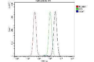 anti-Intelectin 1 (Galactofuranose Binding) (ITLN1) (AA 19-59), (N-Term) antibody