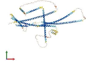 AlphaFold protein structure predicition of Human Recombinant MCC Protein, UniprotID P23508