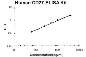 Human TNFRSF7/CD27 Accusignal ELISA Kit Human TNFRSF7/CD27 AccuSignal ELISA Kit standard curve. (CD27 ELISA Kit)