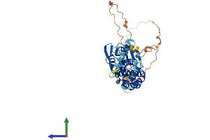 AlphaFold protein structure predicition of Human Recombinant SPATA2L Protein, UniprotID Q8IUW3
