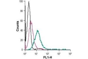 Cell surface detection of GPR56 in live intact human HL-60 promyelocytic leukemia cells: (black line) Cells. (Adhesion G Protein-Coupled Receptor G1 (ADGRG1) (AA 86-109), (Extracellular) antibody (FITC))