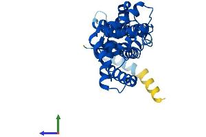 AlphaFold protein structure predicition of Mouse Recombinant Elmod2 Protein, UniprotID Q8BGF6 (ELMOD2 Protein (AA 1-293) (His tag))