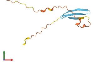 AlphaFold protein structure predicition of Human Recombinant LINC00208 Protein, UniprotID Q96KT6 (LINC00208 Protein (AA 1-92) (Fc Tag))