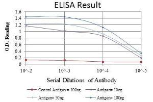 Red: Control Antigen (100 ng), Purple: Antigen (10 ng), Green: Antigen (50 ng), Blue: Antigen (100 ng), (CST3 antibody)