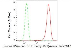 Flow cytometric analysis of Histone H3 (mono+di+tri methyl K79) expression in HepG2 cells using Histone H3 (mono+di+tri methyl K79) antibody (ABIN7798965), 1:2,000). (Recombinant Histone 3 antibody  (H3K79me))