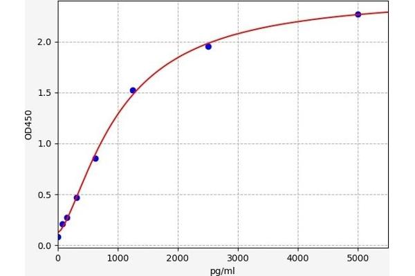 CNDP1 ELISA Kit