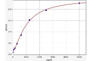 Typical standard curve (CNDP1 ELISA Kit)
