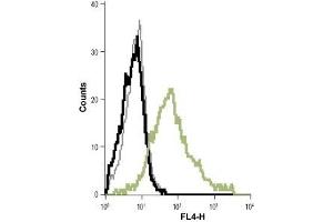 Cell surface detection of KCa3.