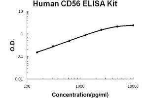 Human CD56/NCAM-1 Accusignal ELISA Kit Human CD56/NCAM-1 AccuSignal ELISA Kit standard curve. (CD56 ELISA Kit)