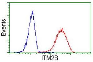 Flow Cytometry (FACS) image for anti-Integral Membrane Protein 2B (ITM2B) antibody (ABIN1496395) (ITM2B antibody)