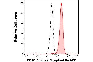 Separation of neutrophil granulocytes stained anti-human CD10 (MEM-78) Biotin antibody (concentration in sample 12 μg/mL, Streptavidin APC, red-filled) from neutrophil granulocytes unstained by primary antibody (Streptavidin APC, black-dashed) in flow cytometry analysis (surface staining).
