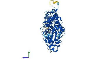 Protein Structure (PS) image for Alpha Centractin (ACTR1A) (AA 1-376) protein (His tag) (ABIN7551881)