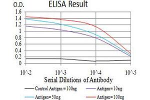 Black line: Control Antigen (100 ng);Purple line: Antigen (10ng); Blue line: Antigen (50 ng); Red line:Antigen (100 ng) (RALB antibody  (AA 89-206))