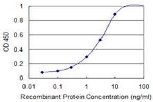 Detection limit for recombinant GST tagged CGB is 0. (CGB antibody  (AA 70-165))
