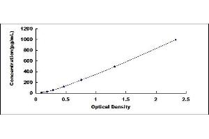 Typical standard curve (OLIG2 ELISA Kit)