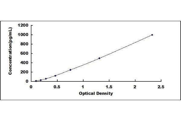 OLIG2 ELISA Kit